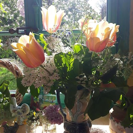 Arzier Chez Cathy Bed & Breakfast エクステリア 写真