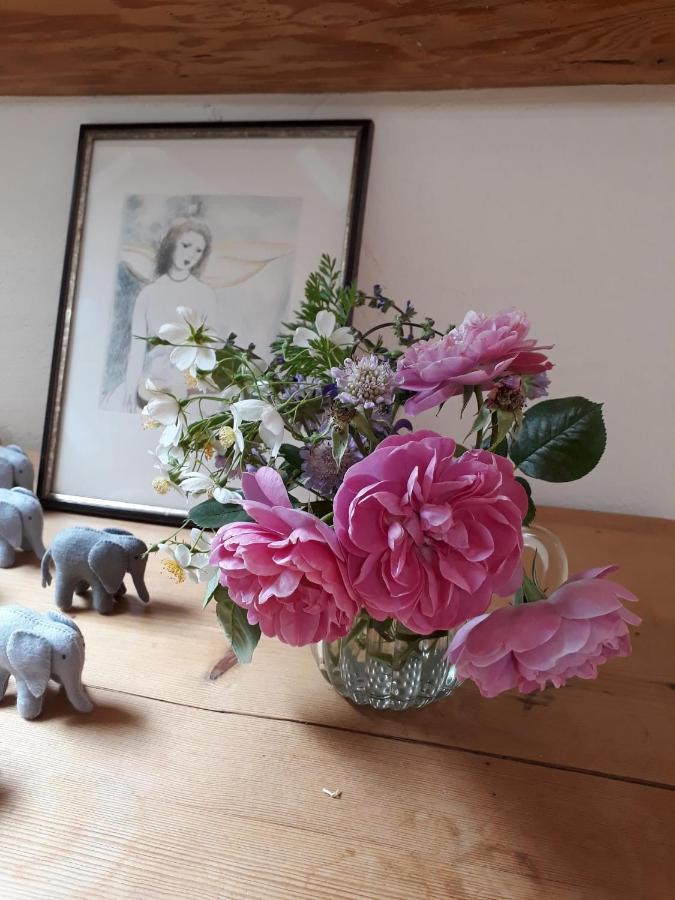 Arzier Chez Cathy Bed & Breakfast エクステリア 写真